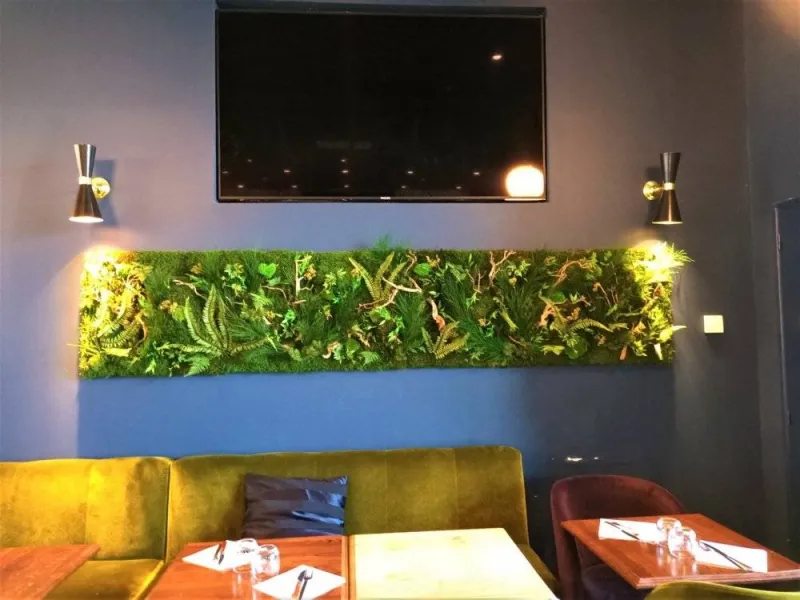 Tableau végétal, Lyon, MOSS SMART NATURE