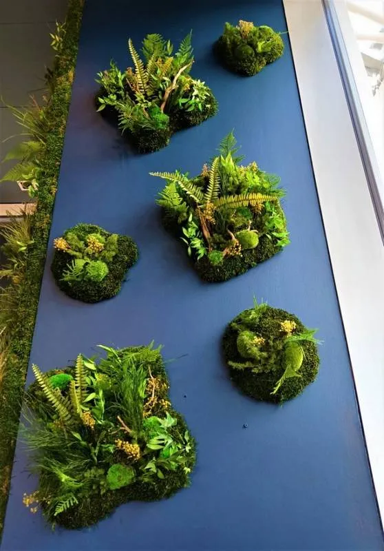 Tableau végétal, Lyon, MOSS SMART NATURE