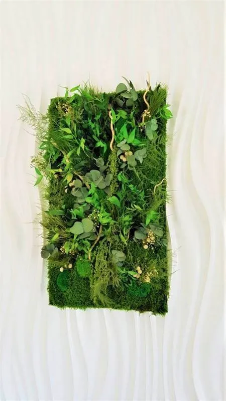 Tableau végétal, Lyon, MOSS SMART NATURE