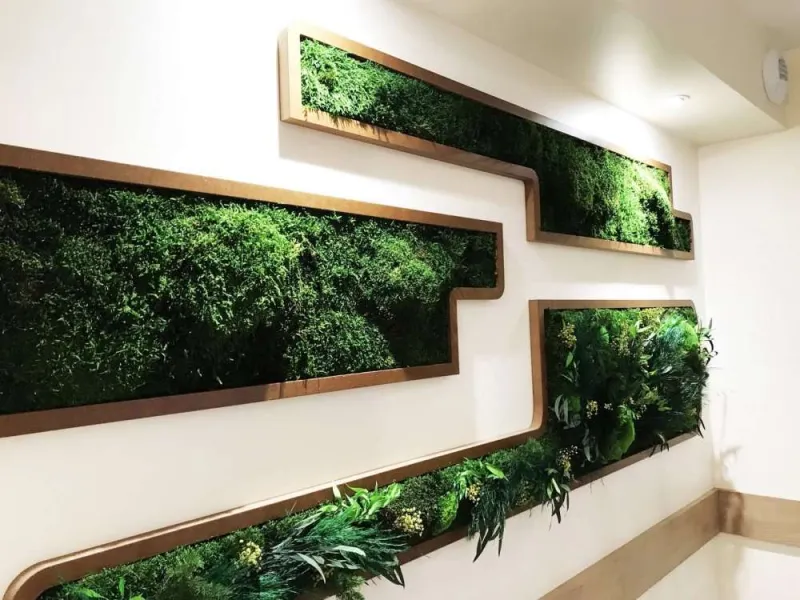 Tableau végétal, Lyon, MOSS SMART NATURE