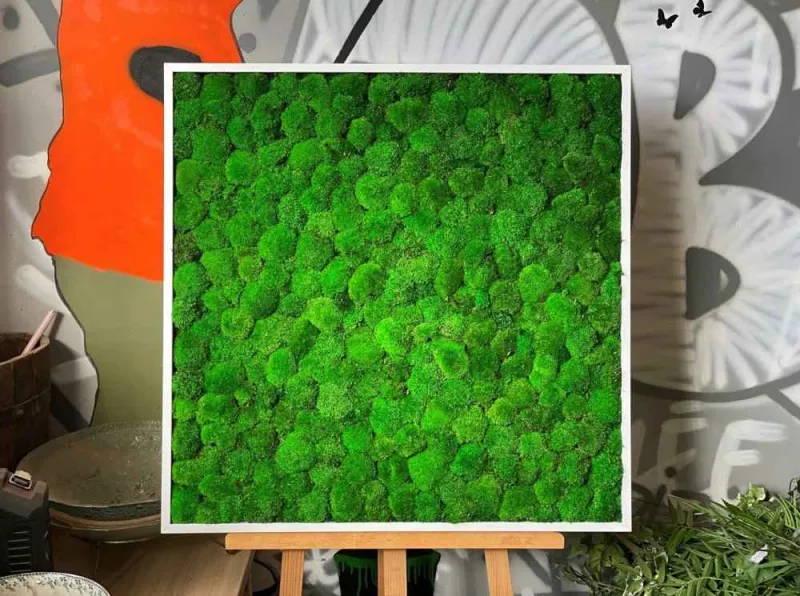 Tableau végétal, Lyon, MOSS SMART NATURE