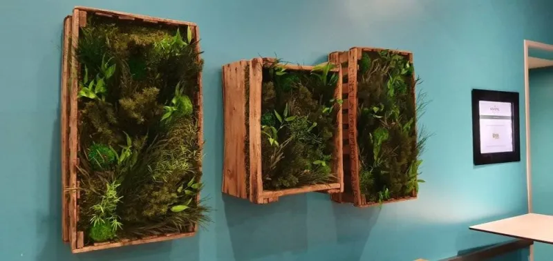Tableau végétal, Lyon, MOSS SMART NATURE