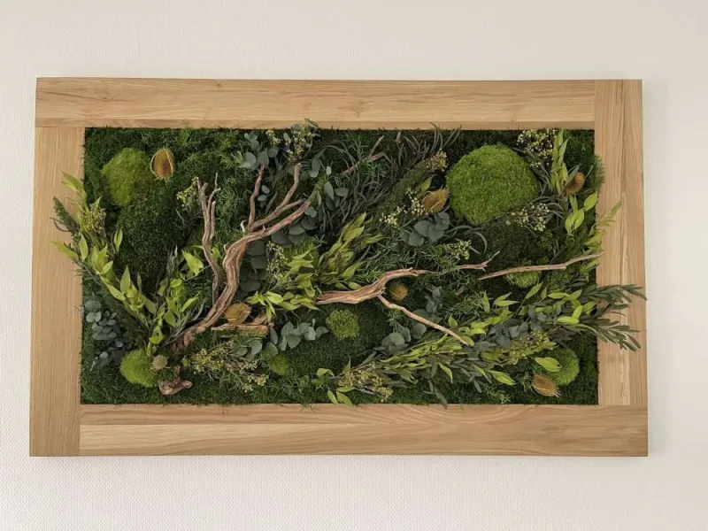 Tableau végétal, Lyon, MOSS SMART NATURE