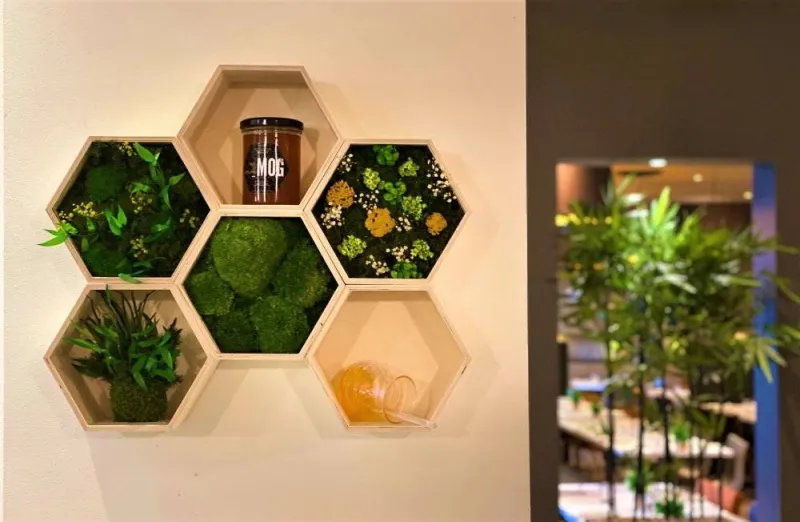 Tableau végétal, Lyon, MOSS SMART NATURE