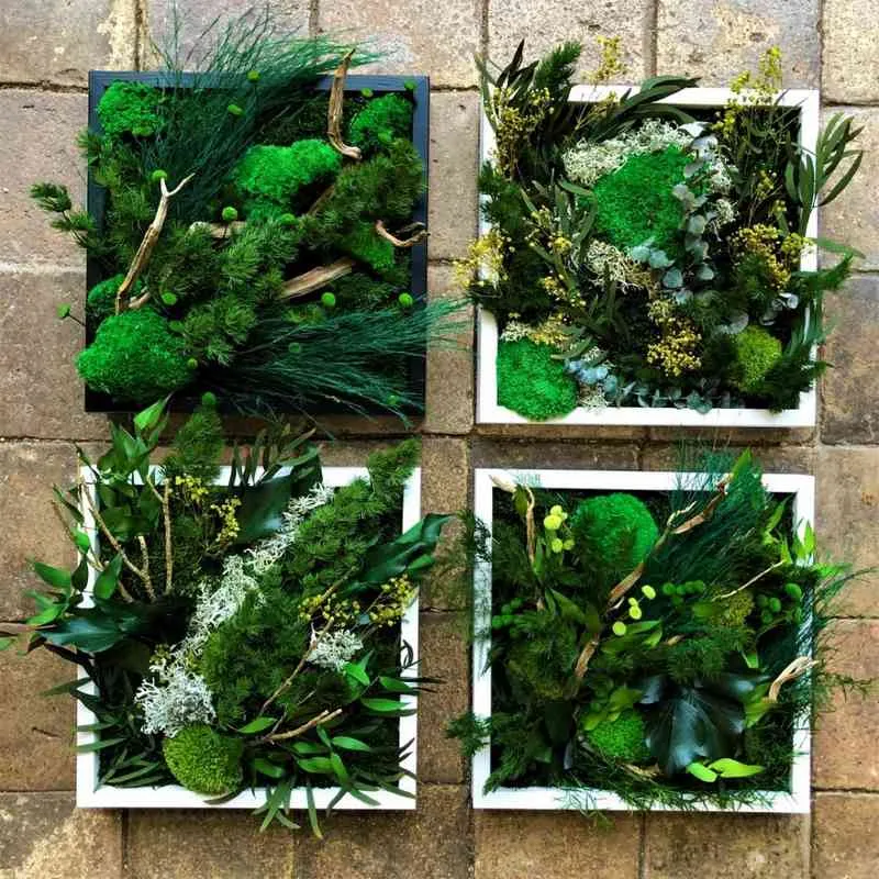 Tableau végétal, Lyon, MOSS SMART NATURE