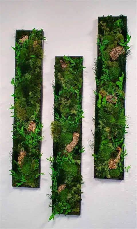 Tableau végétal, Lyon, MOSS SMART NATURE