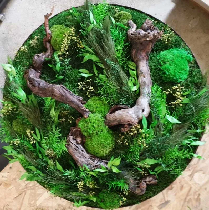 Tableau végétal, Lyon, MOSS SMART NATURE