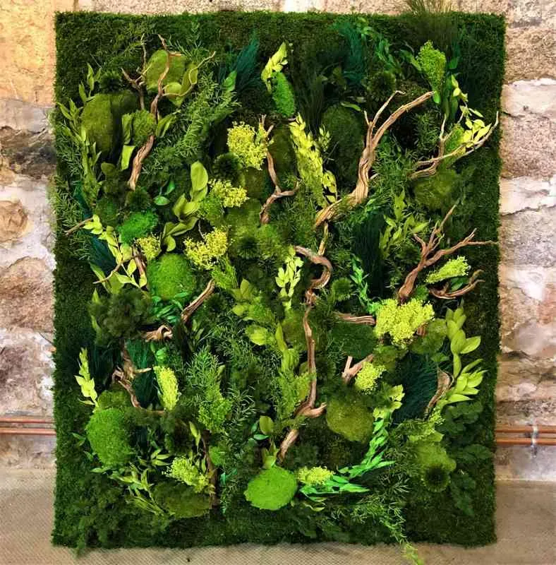 Tableau végétal, Lyon, MOSS SMART NATURE