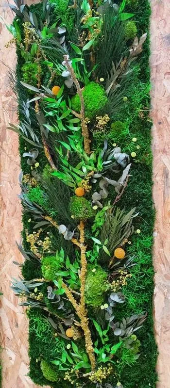 Tableau végétal, Lyon, MOSS SMART NATURE