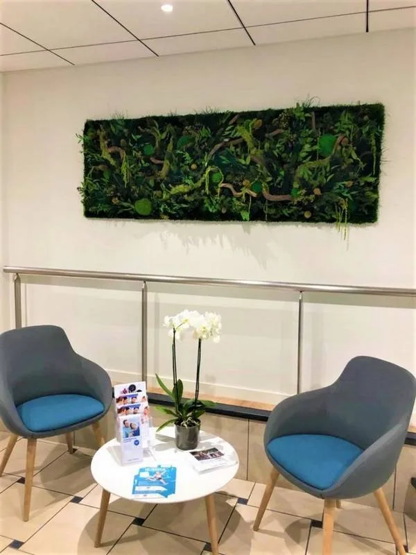 Tableau végétal, Lyon, MOSS SMART NATURE