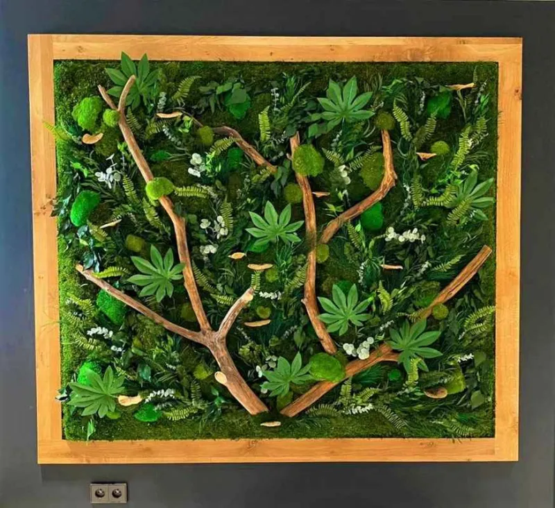 Tableau végétal, Lyon, MOSS SMART NATURE