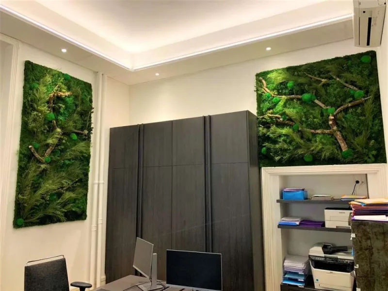 Tableau végétal, Lyon, MOSS SMART NATURE