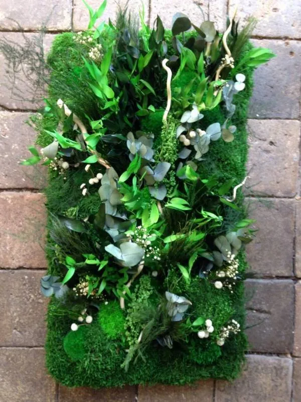 Tableau végétal, Lyon, MOSS SMART NATURE