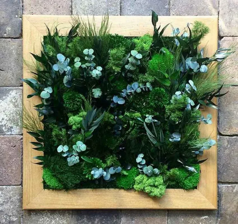 Tableau végétal, Lyon, MOSS SMART NATURE