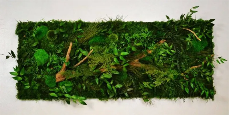 Tableau végétal, Lyon, MOSS SMART NATURE