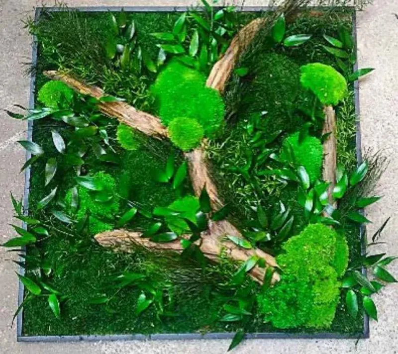 Tableau végétal, Lyon, MOSS SMART NATURE