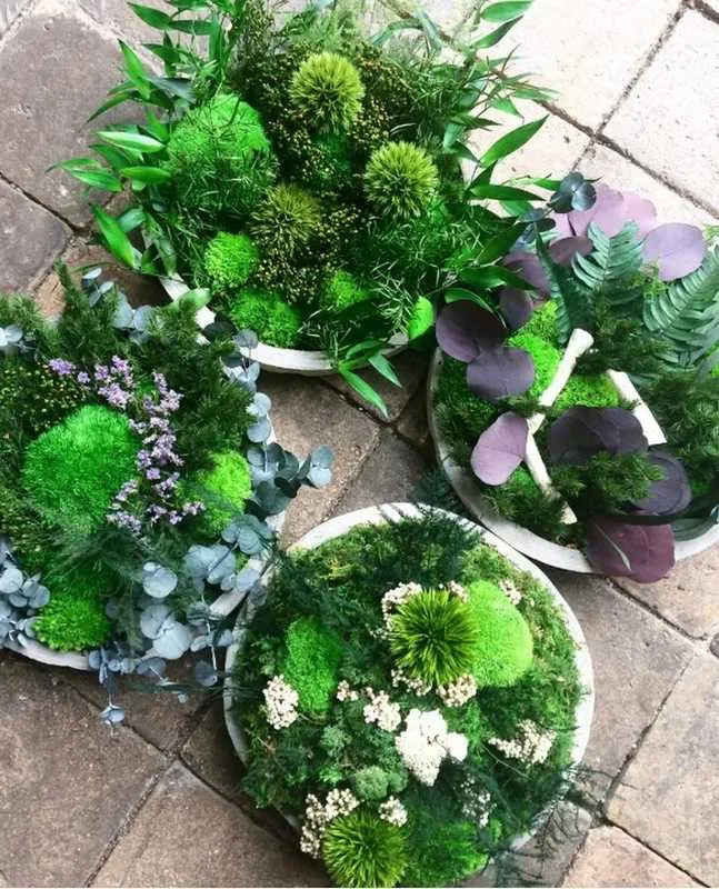 Tableau végétal, Lyon, MOSS SMART NATURE