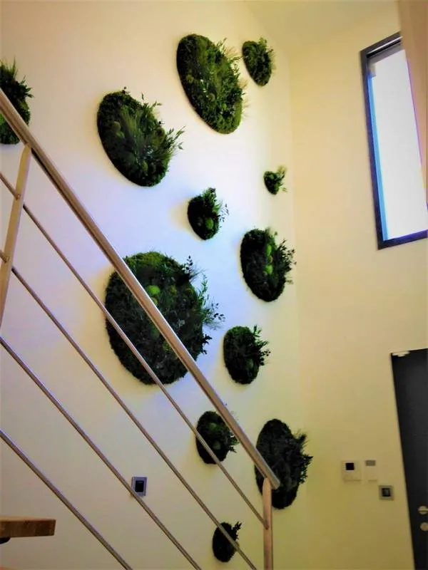 Tableau végétal, Lyon, MOSS SMART NATURE