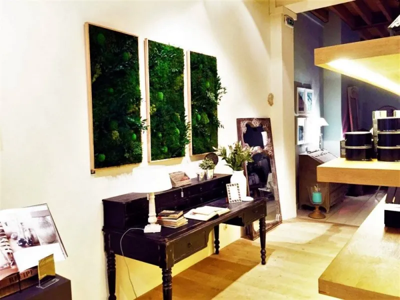 Tableau végétal, Lyon, MOSS SMART NATURE