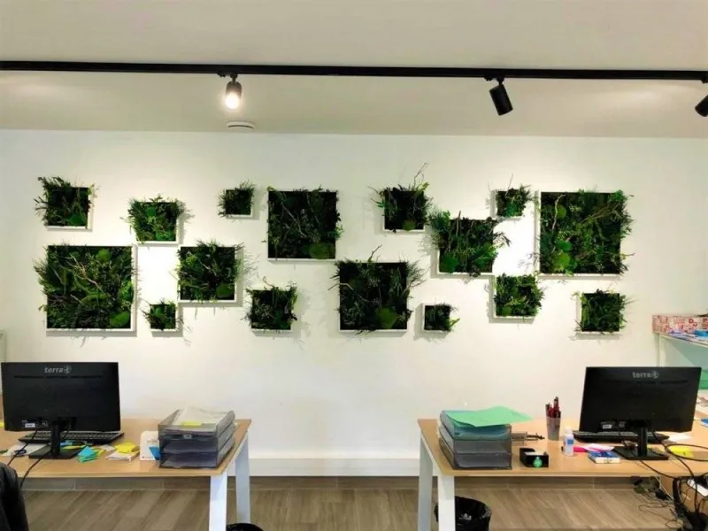 Tableau végétal, Lyon, MOSS SMART NATURE