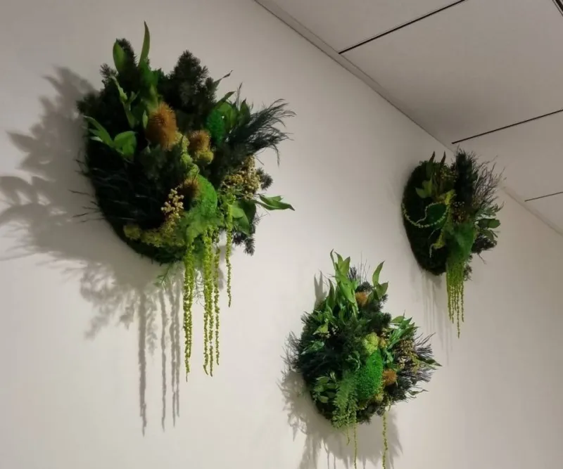 Tableau végétal, Lyon, MOSS SMART NATURE