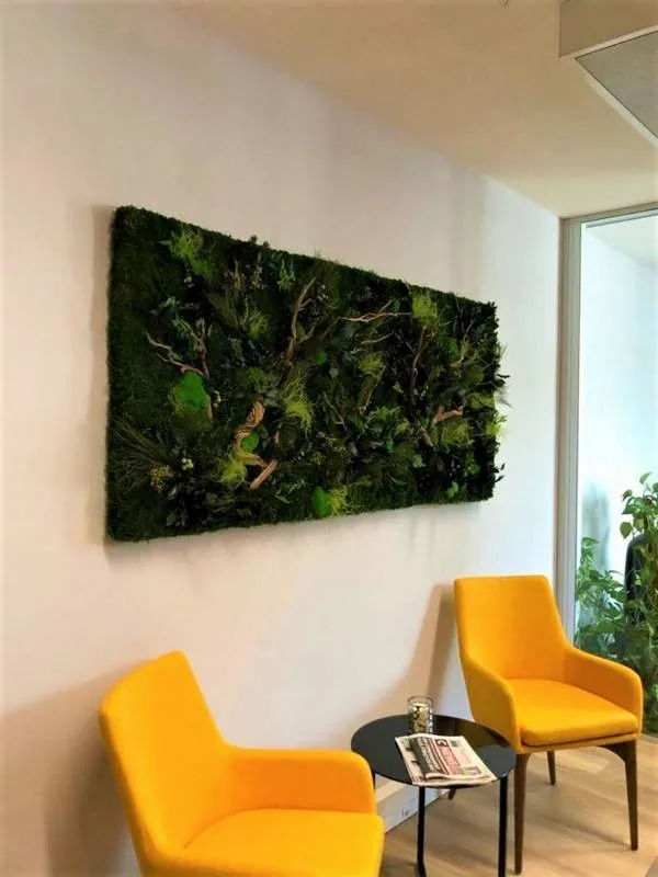 Tableau végétal, Lyon, MOSS SMART NATURE