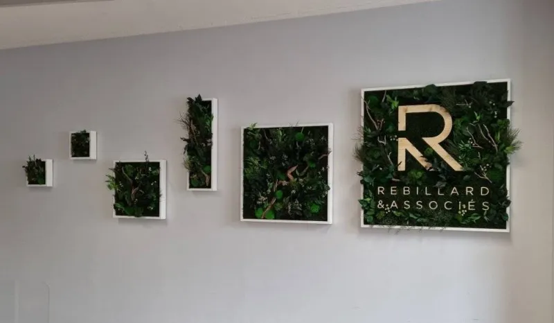 Tableau végétal, Lyon, MOSS SMART NATURE