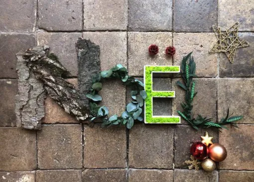 Bonnes fêtes, Lyon, MOSS SMART NATURE