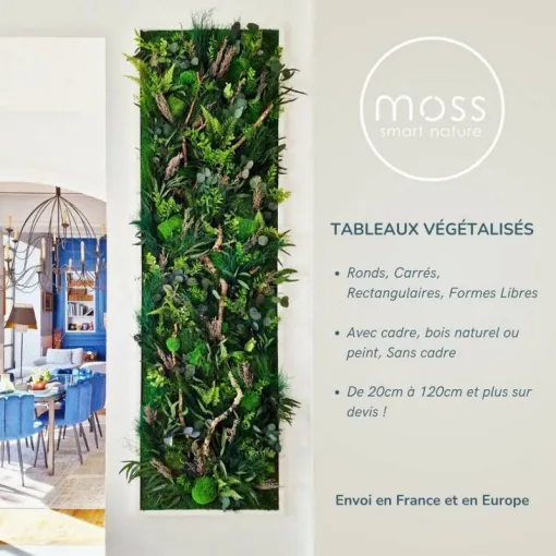 Cadre végétal stabilisé, Lyon, MOSS SMART NATURE