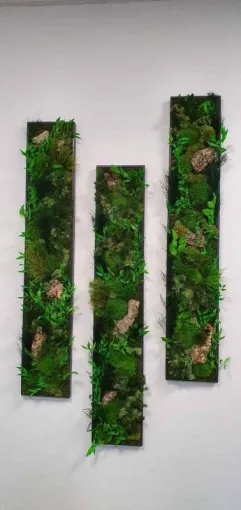 Création de mur végétalisé pour votre communication d'entreprise sur Lyon, Lyon, MOSS SMART NATURE