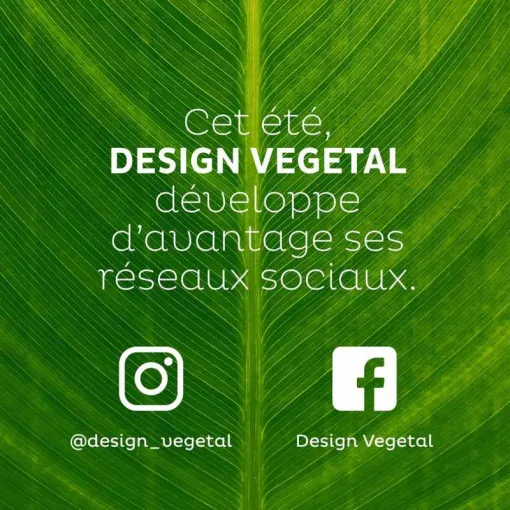 Du renouveau au niveau de nos réseaux sociaux, Lyon, MOSS SMART NATURE
