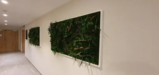 Fabricant cadre végétal stabilisé pour végétaliser les locaux d'entreprise à Lyon, Lyon, MOSS SMART NATURE