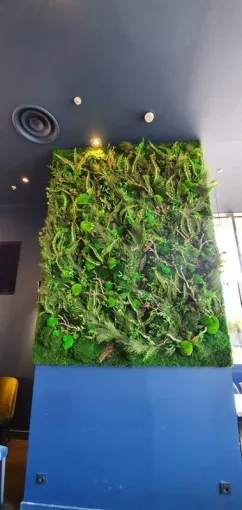 Installation d'un tableau végétal stabilisé, Lyon, MOSS SMART NATURE