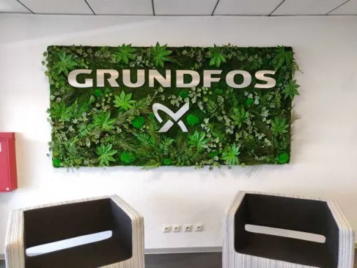 Installer un cadre végétal stabilisé sur mesure dans les locaux professionnels à Lyon, Lyon, MOSS SMART NATURE