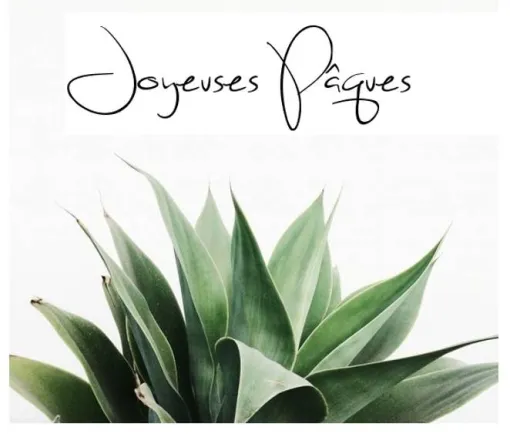 Joyeuse Pâques, Lyon, MOSS SMART NATURE