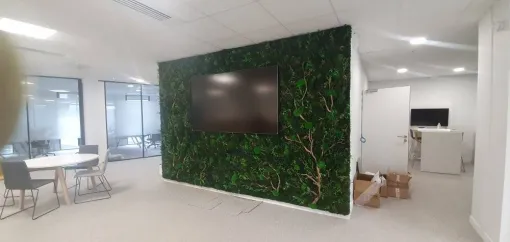 La végétalisation stabilisée optimise vos espaces de communication en interne !, Lyon, MOSS SMART NATURE