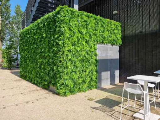 Mur végétal extérieur Lyon, Lyon, MOSS SMART NATURE