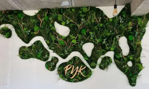 Mur végétalisés en formes libres, Lyon, MOSS SMART NATURE