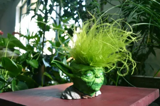 Objets et Personnages Végétalisés : Donnez Vie à Vos Inspirations avec Moss Smart Nature, Lyon, MOSS SMART NATURE