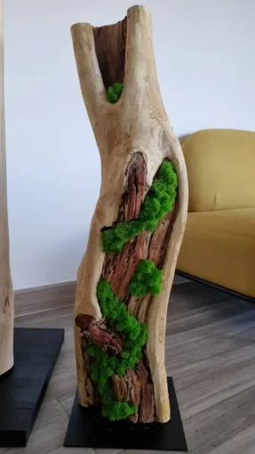 Objets végétaux sur mesure à Lyon, Lyon, MOSS SMART NATURE