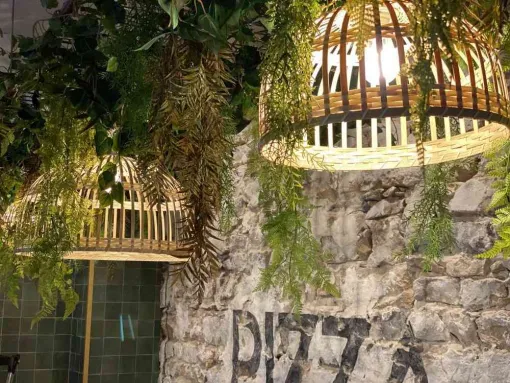 Plafond végétal à Lyon, Lyon, MOSS SMART NATURE