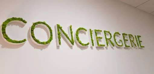 SHAM - Design végétal stabilisé Lyon, Lyon, MOSS SMART NATURE