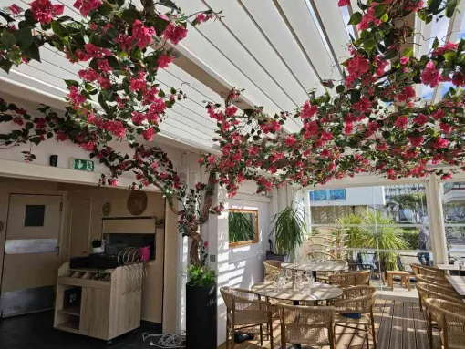 Un bougainvillée sur mesure : décoration végétale sans entretien Lyon, Lyon, MOSS SMART NATURE