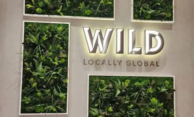 Création de cadres végétalisés pour hôtel luxueux dans le Rhône, Lyon, MOSS SMART NATURE