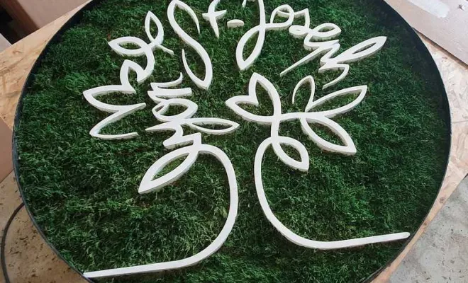 Création de mur végétalisé pour votre communication d'entreprise sur Lyon, Lyon, MOSS SMART NATURE