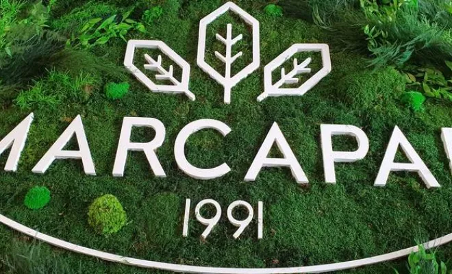 Création de mur végétalisé pour votre communication d'entreprise sur Lyon, Lyon, MOSS SMART NATURE