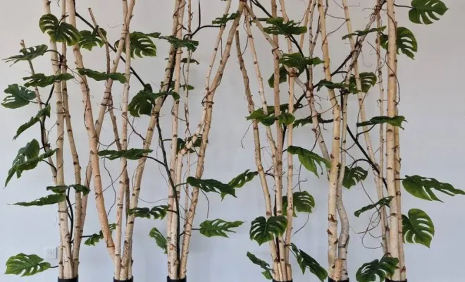 Création de structure végétalisée à Lyon, Lyon, MOSS SMART NATURE