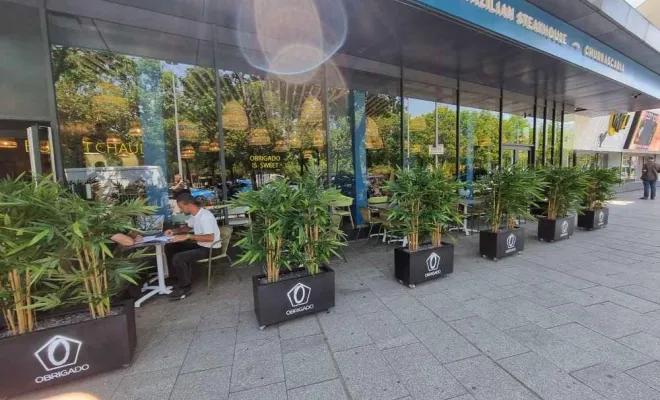 Décoration végétale ambiance tropicale vers Grenoble, Lyon, MOSS SMART NATURE