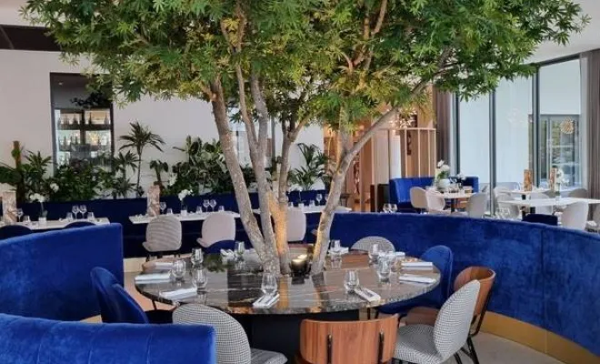 Décoration végétale intérieur Rhône, Lyon, MOSS SMART NATURE