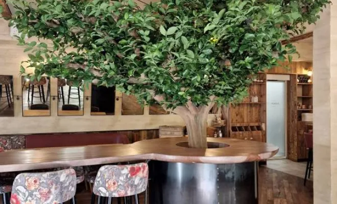 Décoration végétale intérieur Rhône, Lyon, MOSS SMART NATURE